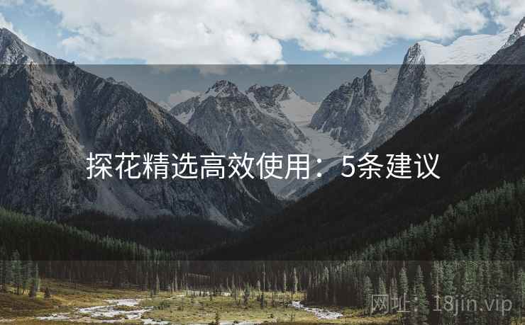 探花精选高效使用：5条建议