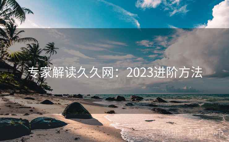 专家解读久久网：2023进阶方法