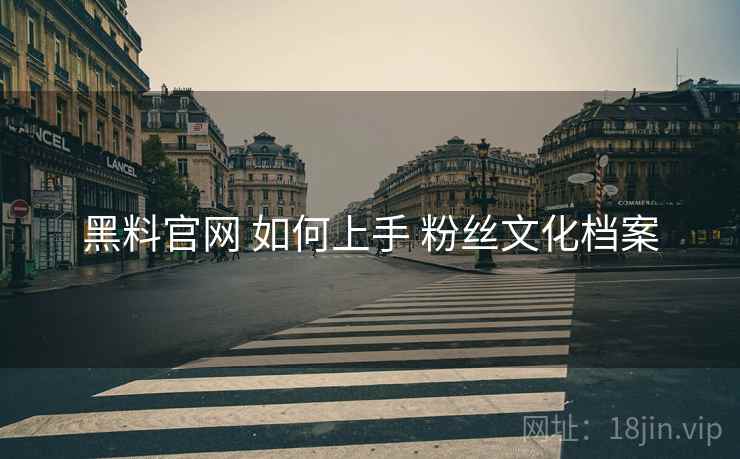 黑料官网 如何上手 粉丝文化档案