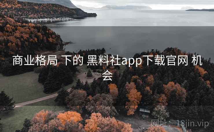 商业格局 下的 黑料社app下载官网 机会