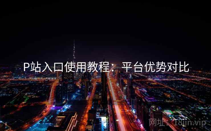 P站入口使用教程：平台优势对比