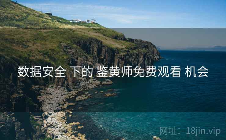 数据安全 下的 鉴黄师免费观看 机会