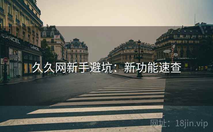 久久网新手避坑：新功能速查