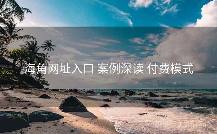 海角网址入口 案例深读 付费模式