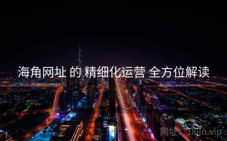 海角网址 的 精细化运营 全方位解读