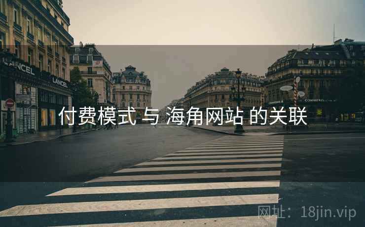 付费模式 与 海角网站 的关联