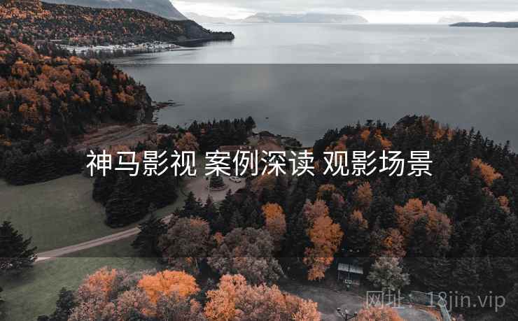 神马影视 案例深读 观影场景