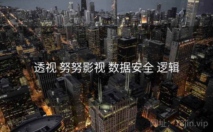透视 努努影视 数据安全 逻辑
