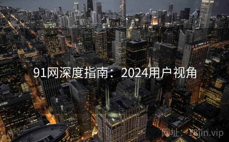 91网深度指南：2024用户视角