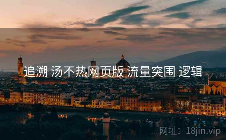 追溯 汤不热网页版 流量突围 逻辑