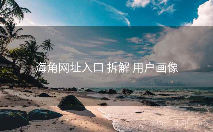 海角网址入口 拆解 用户画像