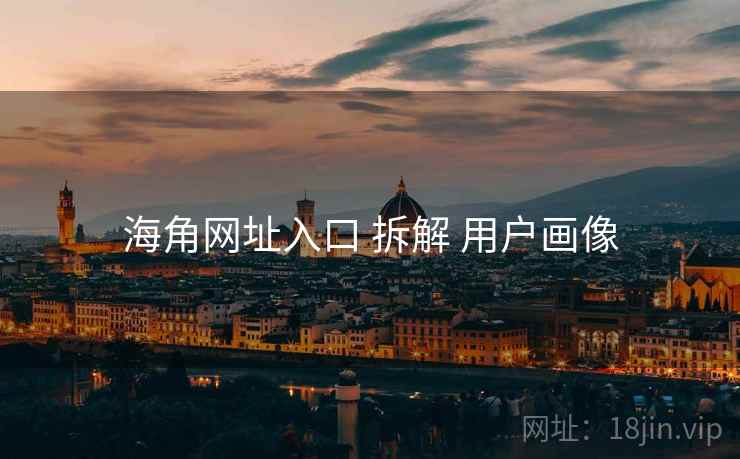海角网址入口 拆解 用户画像