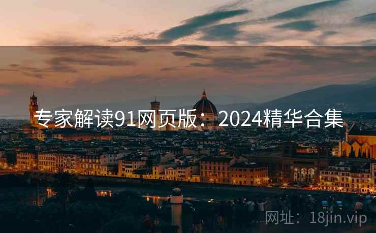 专家解读91网页版：2024精华合集