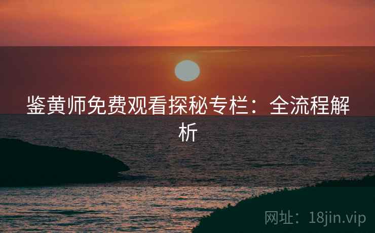 鉴黄师免费观看探秘专栏：全流程解析